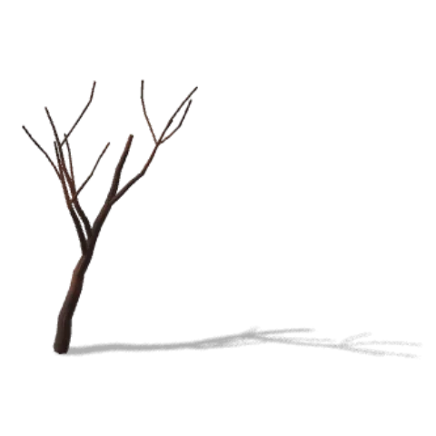 Grapevine wood as drawn in the simulator