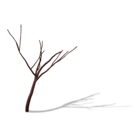 Redmoor root as drawn in the simulator