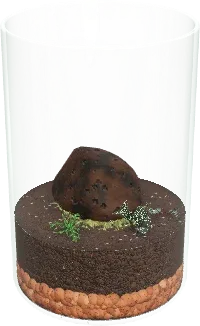 The Beginner jar terrarium in the simulator