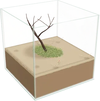The Carnivore bog terrarium in the simulator