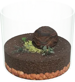 The Cookie jar ferns terrarium in the simulator