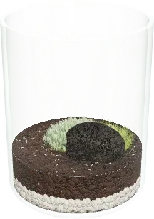 The Mason jar moss terrarium in the simulator
