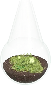 The Moss bottle terrarium in the simulator