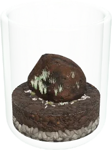 The Pocket jar terrarium in the simulator