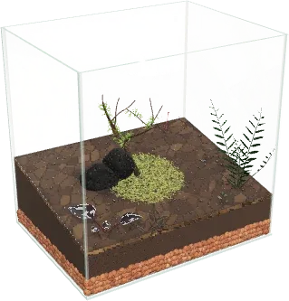 The Rainforest tank terrarium in the simulator