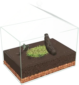 The Wardian case terrarium in the simulator