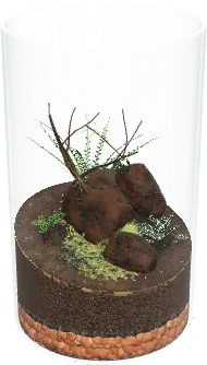 The Woodland jar terrarium in the simulator